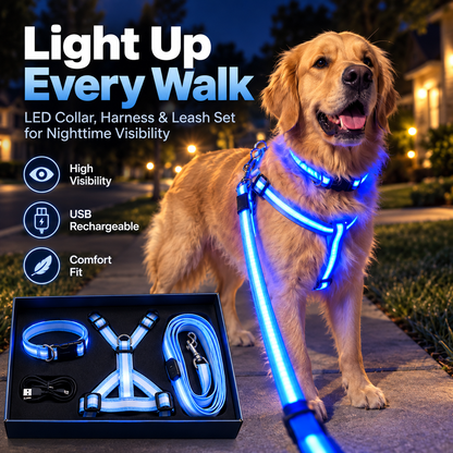 ✨ LED Dog Walking Set – Light Up Every Night Walk