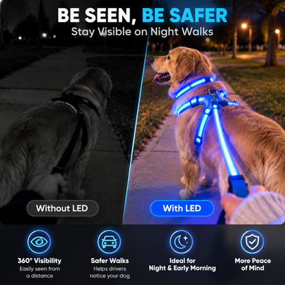 ✨ LED Dog Walking Set – Light Up Every Night Walk