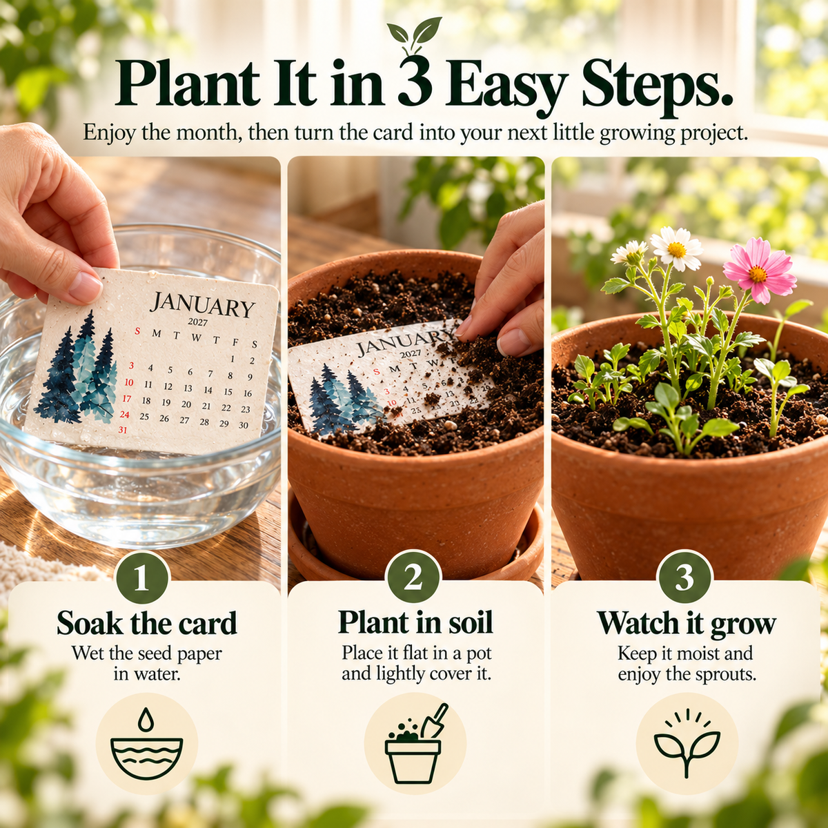 🌱🌸 Bloom365™ – Plantable Seed Calendar 🌿✨