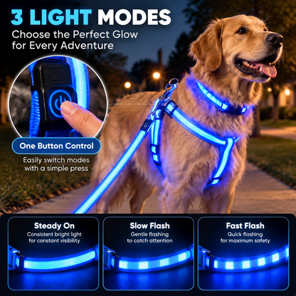✨ LED Dog Walking Set – Light Up Every Night Walk