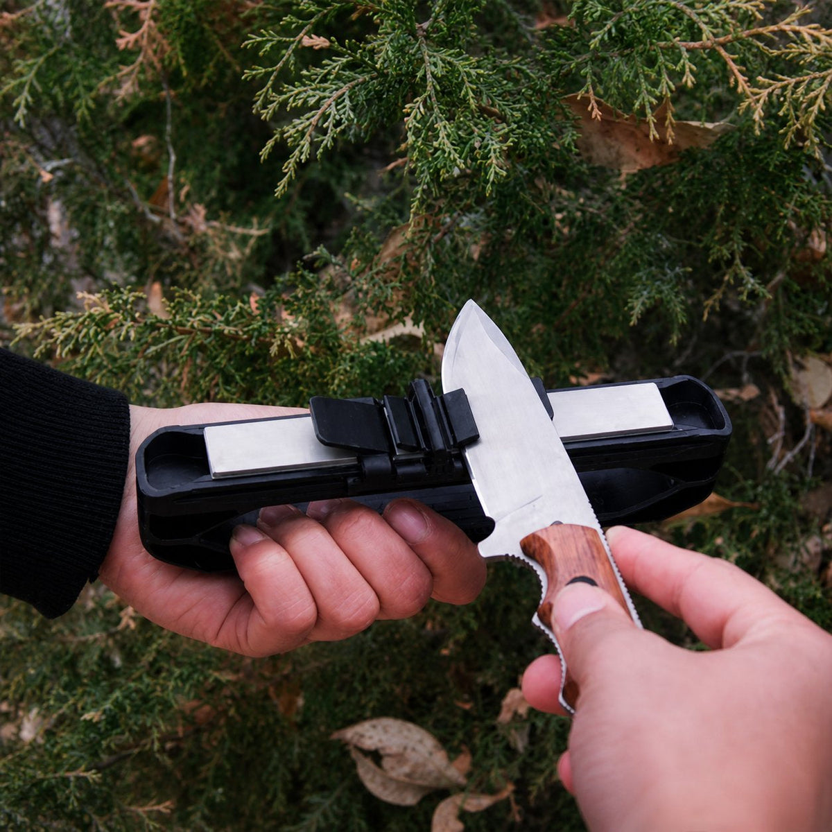 Knife sharpener kit and accessory view