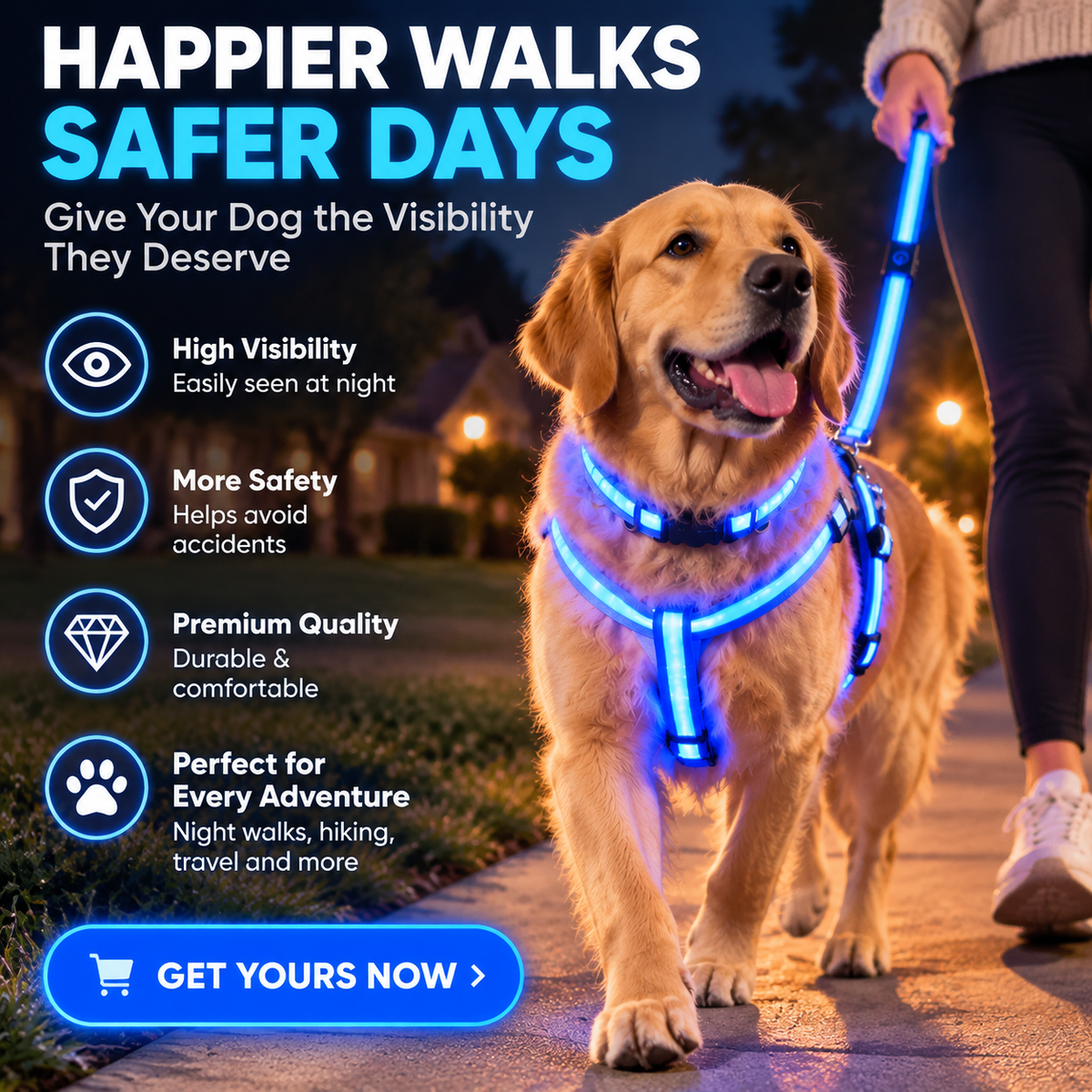 ✨ LED Dog Walking Set – Light Up Every Night Walk