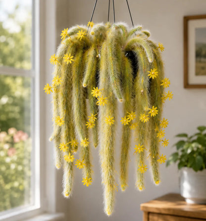 🌸 Rare Rainbow Monkey Tail Cactus Bulbs – Cascading Blooms for Hanging Baskets