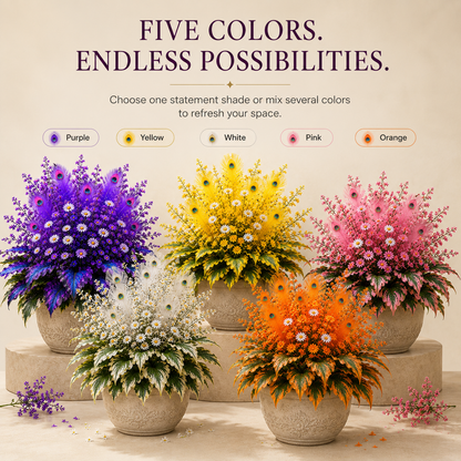 White hosta foliage color option for elegant shaded garden displays