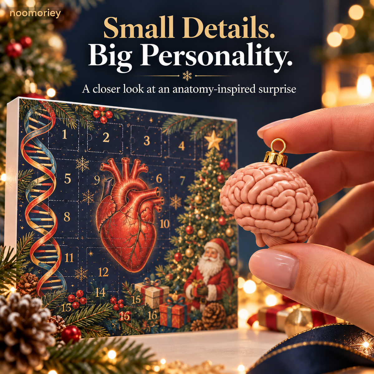 🎄 Anatomy Christmas Advent Calendar – Unique Organ-Shaped Ornaments & Holiday Surprises for Nurses, Medical Students & Science Lovers 🎁