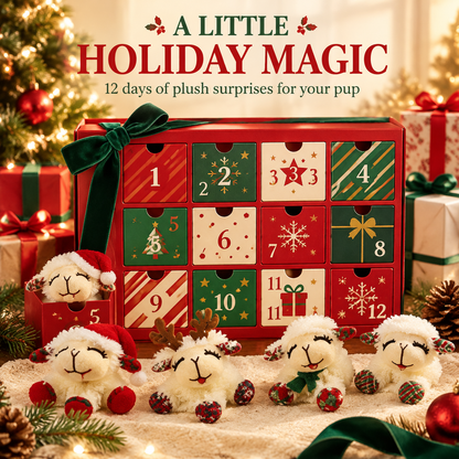 🎄 Pawmas™ 12-Day Dog Advent Calendar – Plush Christmas Toy Surprise Box