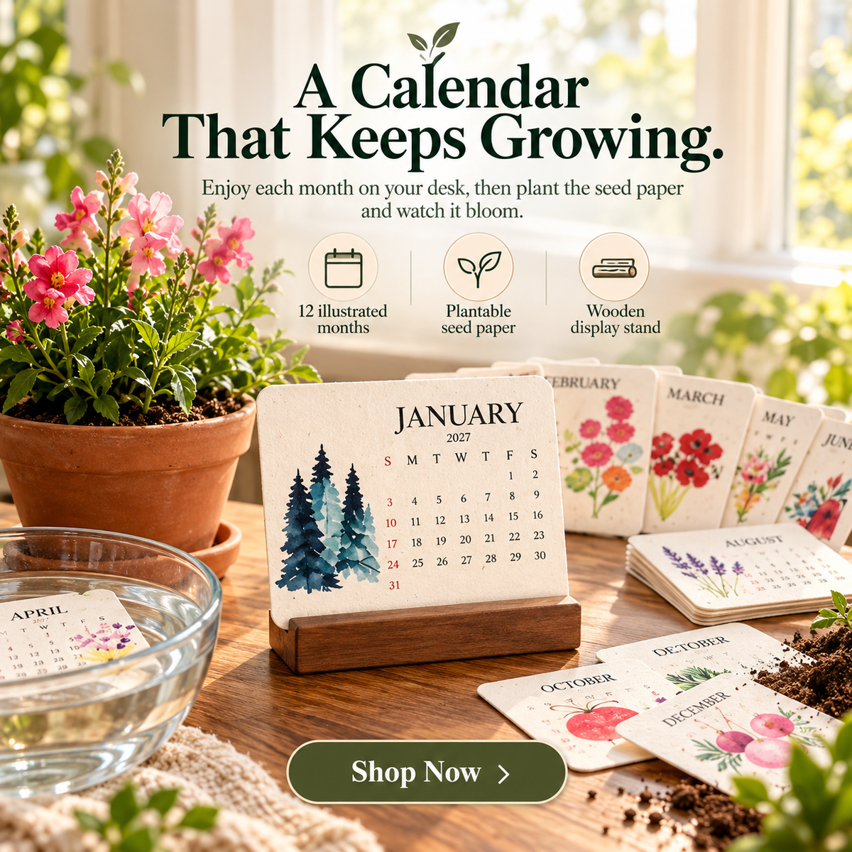 🌱🌸 Bloom365™ – Plantable Seed Calendar 🌿✨